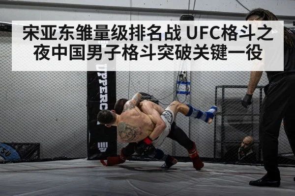 宋亚东雏量级排名战 UFC格斗之夜中国男子格斗突破关键一役 - kaiyun