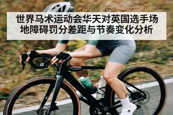 世界马术运动会华天对英国选手场地障碍罚分差距与节奏变化分析